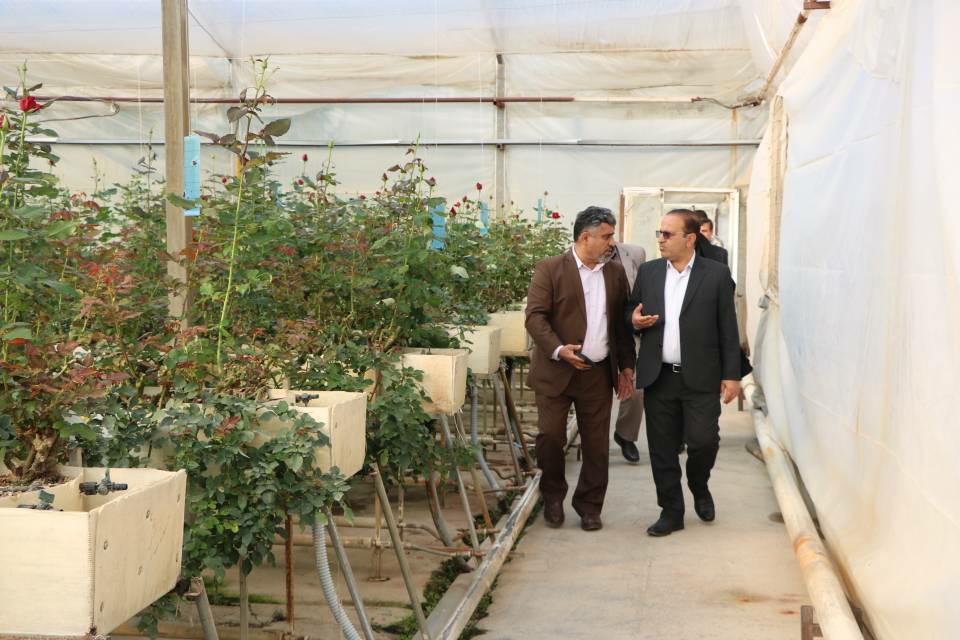 خسارت بیش از ۱۲۵ میلیاردی برف باران به بخش کشاورزی کهگیلویه و بویراحمد خسارت بیش از ۱۲۵ میلیاردی برف باران به بخش کشاورزی کهگیلویه و بویراحمد