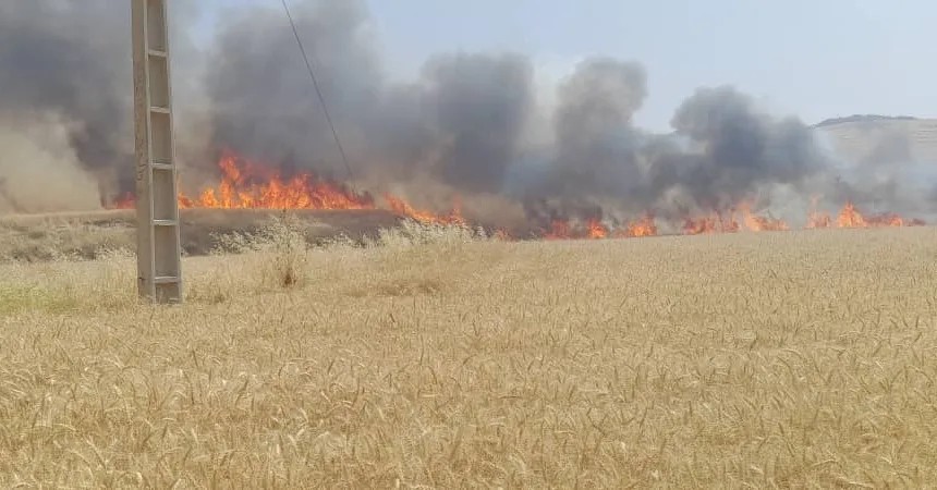 سریال آتش سوزی ها در گچساران /نظری:آتش سوزی در مراتع و اراضی زراعی روستای سراب ننیز مهار شد+تصاویر
