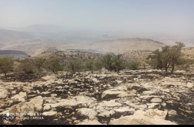 واکنش منابع طبیعی به آتش سوزی دیل؛ آتش در محدوده مدیریت محیط زیست بود