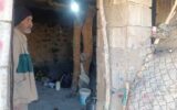اجرای ۲۰۴ میلیاردتومان پروژه برق‌رسانی روستایی در کهگیلویه و بویراحمد