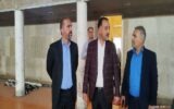 خبرهای خوش مدیرکل ورزش برای ورزشکاران گچساران