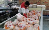 اینجا گچساران است/اخبار استان از توزیع مرغ دولتی میگوید/فروشگاه ها میگویند خبری نیست اینجا گچساران است/اخبار استان از توزیع مرغ دولتی میگوید/فروشگاه ها میگویند خبری نیست