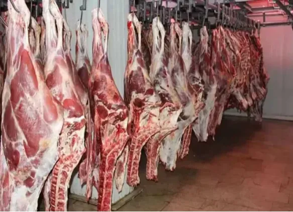 بیش از ۴۶۱ تن گوشت قرمز در گچساران تولید و روانه بازار شد